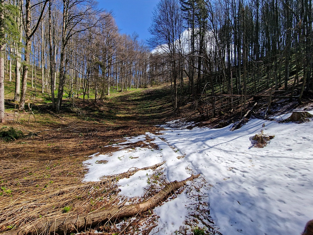 Slika je vidna v Google Chromu.