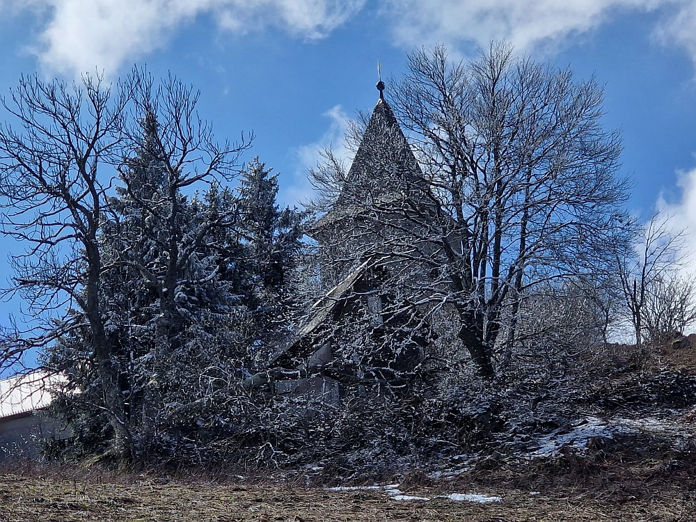 Slika je vidna v Google Chromu.