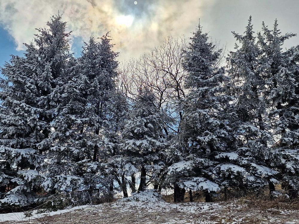 Slika je vidna v Google Chromu.