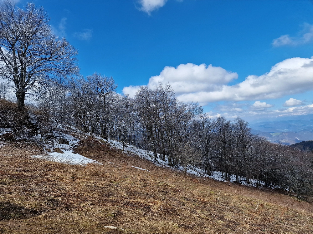 Slika je vidna v Google Chromu.