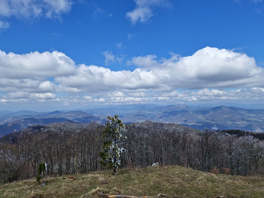 Slika je vidna v Google Chromu.