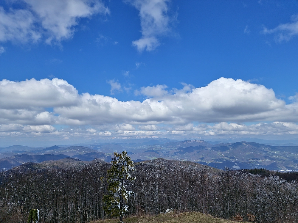 Slika je vidna v Google Chromu.
