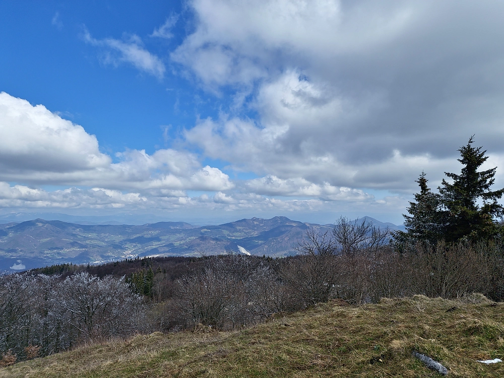 Slika je vidna v Google Chromu.