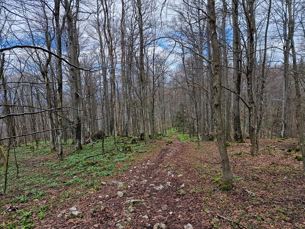 Slika je vidna v Google Chromu.