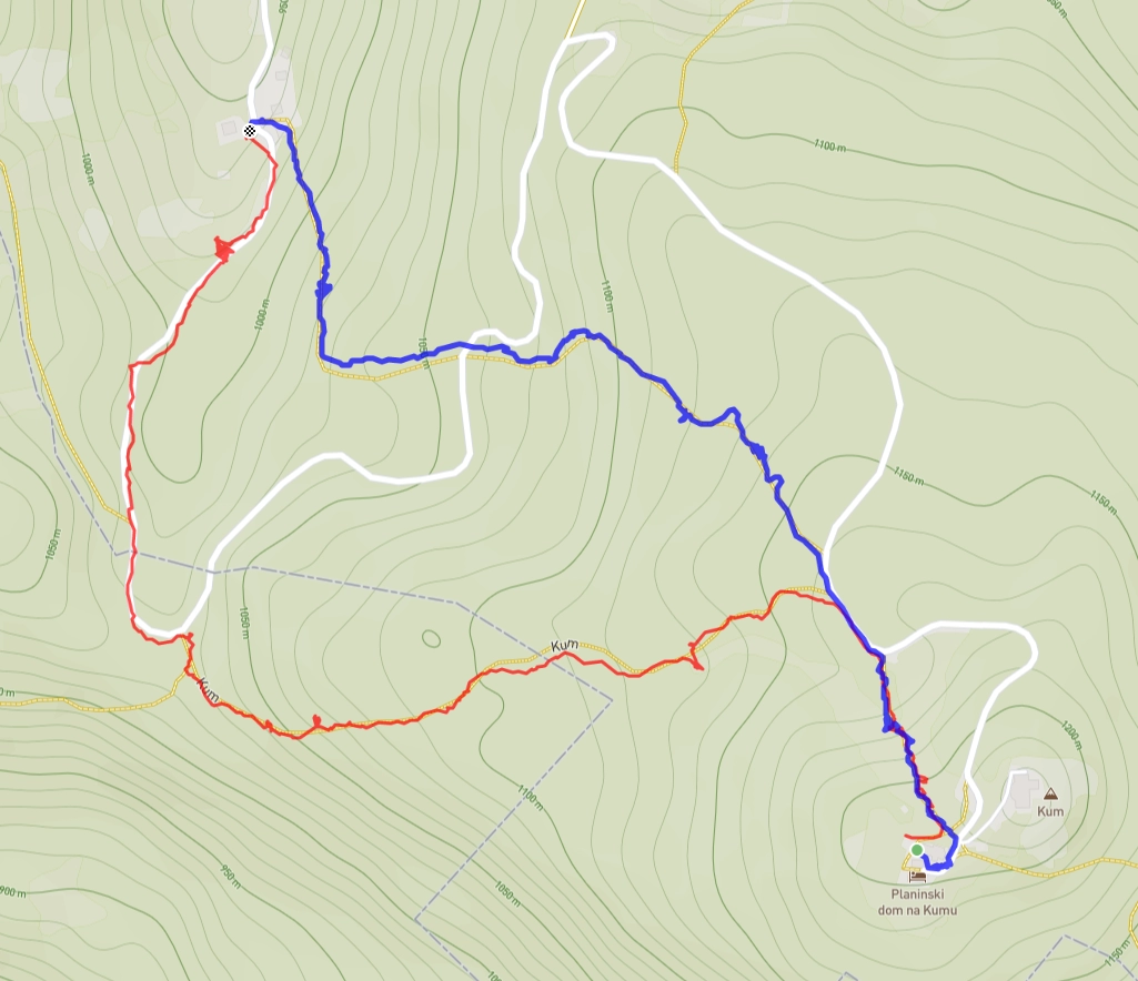 Slika je vidna v Google Chromu.