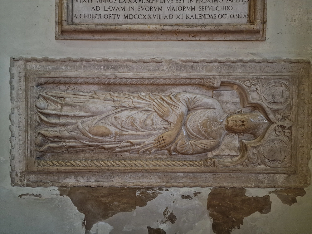 Slika je vidna v Google Chromu.