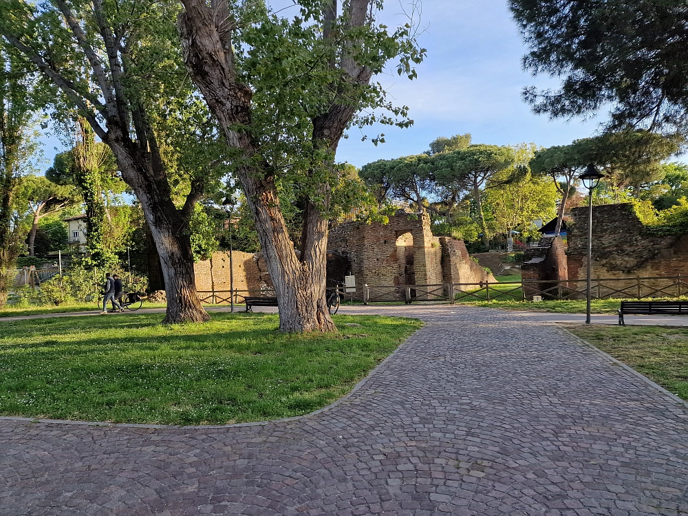 Slika je vidna v Google Chromu.