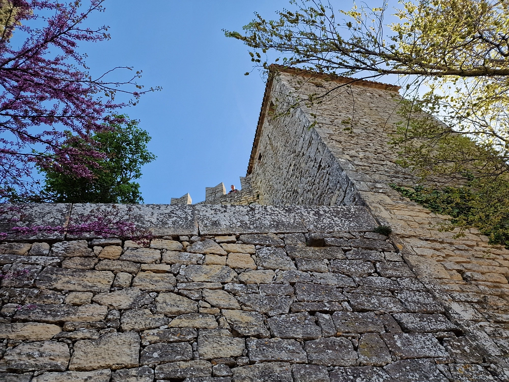 Slika je vidna v Google Chromu.