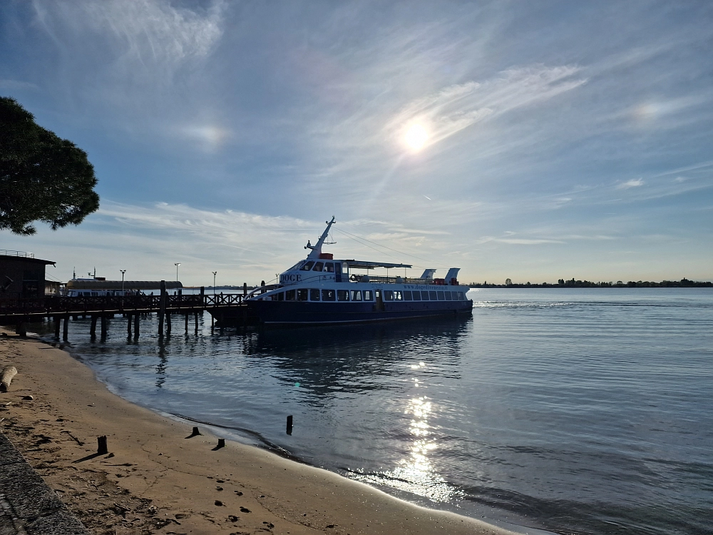 Slika je vidna v Google Chromu.