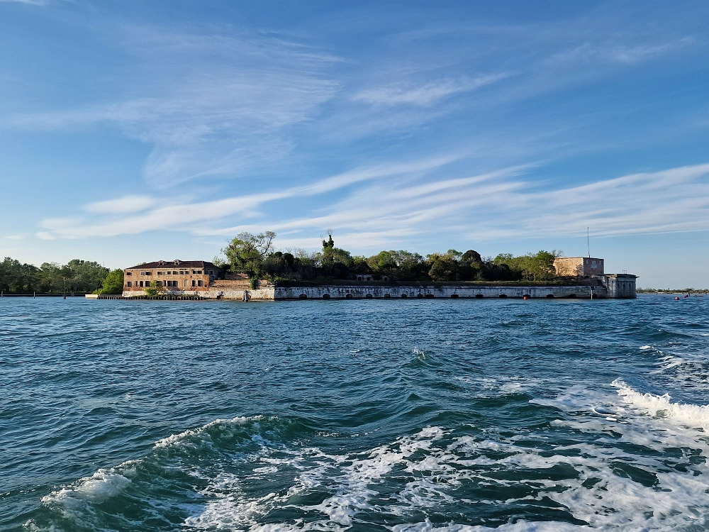 Slika je vidna v Google Chromu.