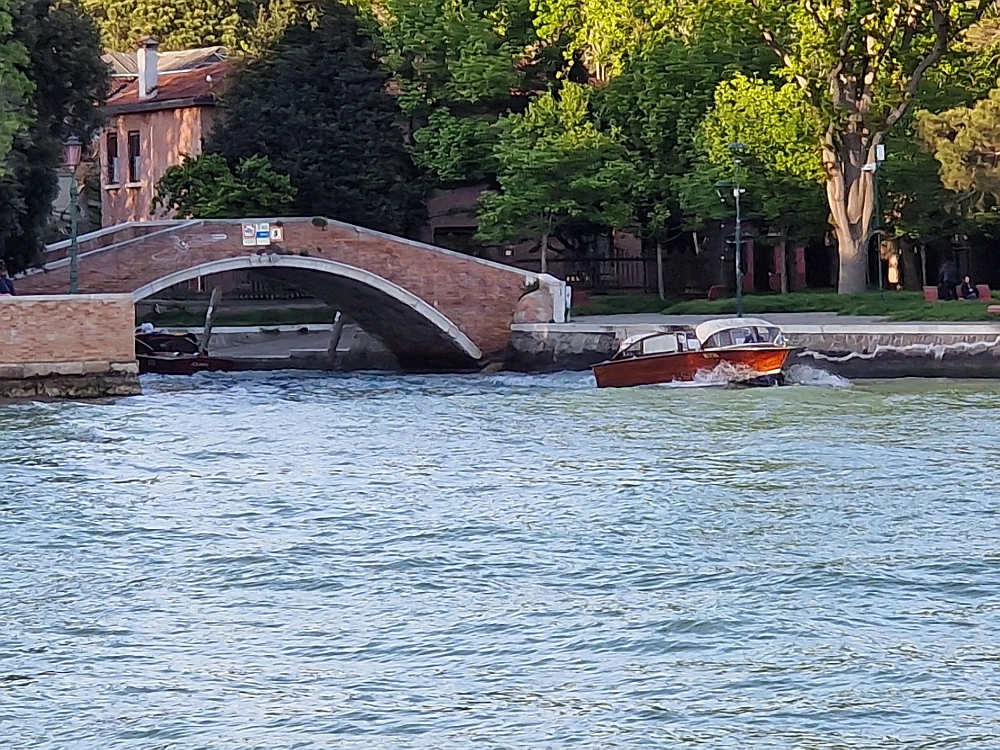 Slika je vidna v Google Chromu.