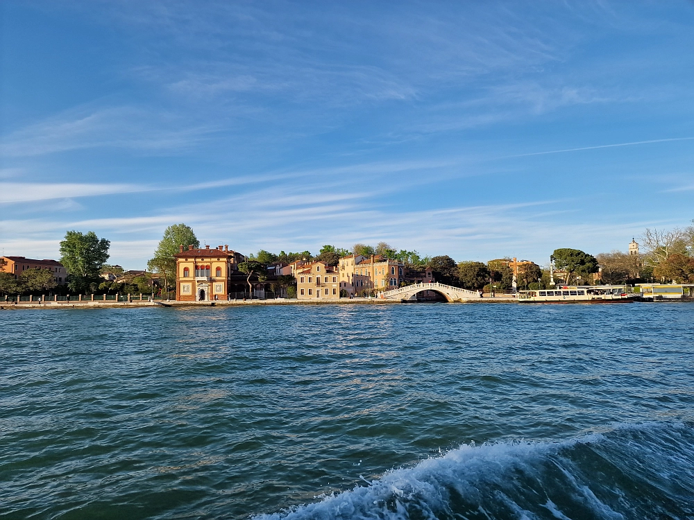 Slika je vidna v Google Chromu.