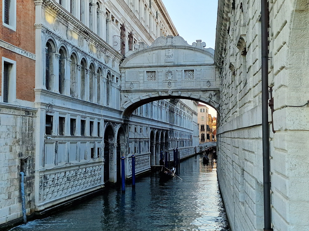 Slika je vidna v Google Chromu.