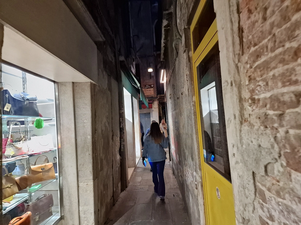 Slika je vidna v Google Chromu.