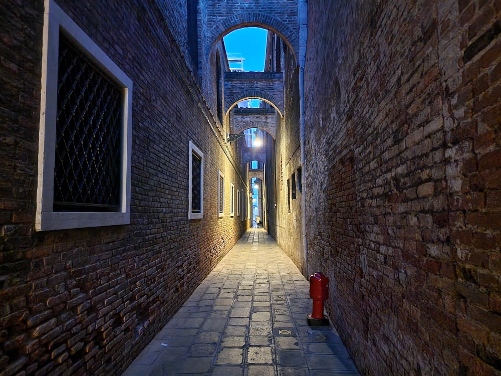 Slika je vidna v Google Chromu.