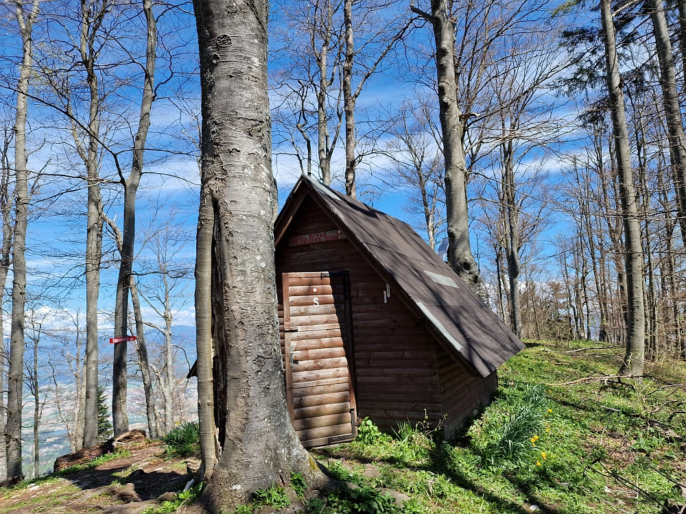 Slika je vidna v Google Chromu.