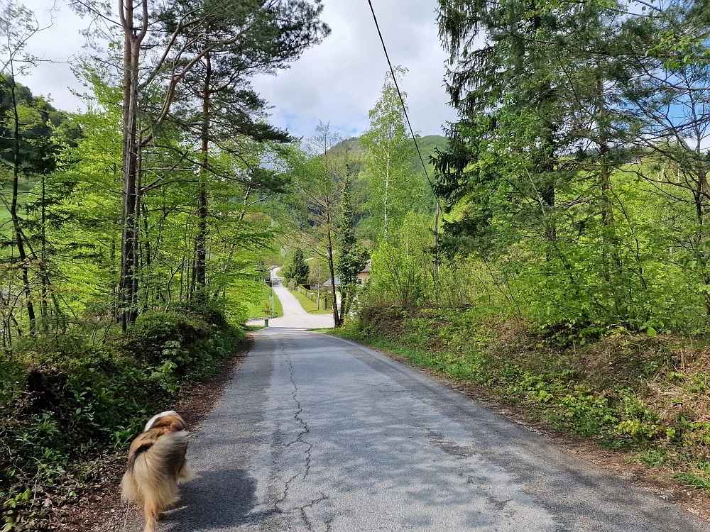 Slika je vidna v Google Chromu.