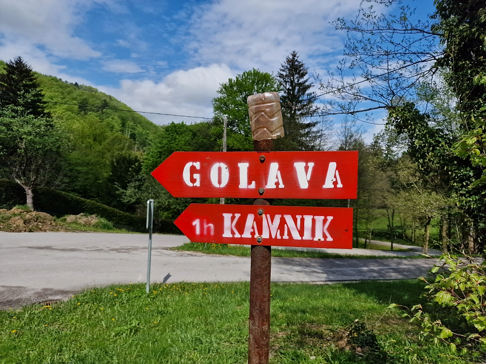 Slika je vidna v Google Chromu.