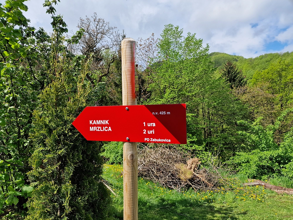 Slika je vidna v Google Chromu.