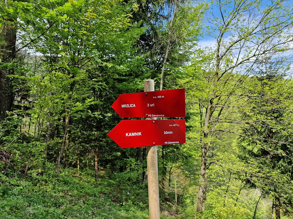 Slika je vidna v Google Chromu.