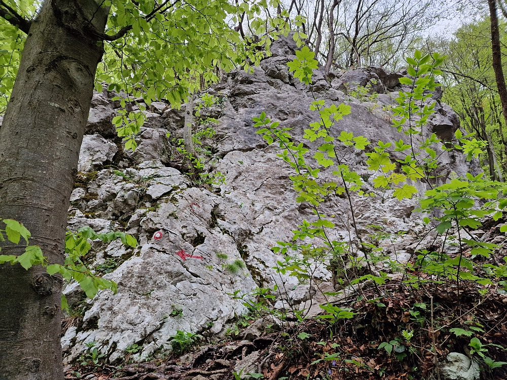 Slika je vidna v Google Chromu.