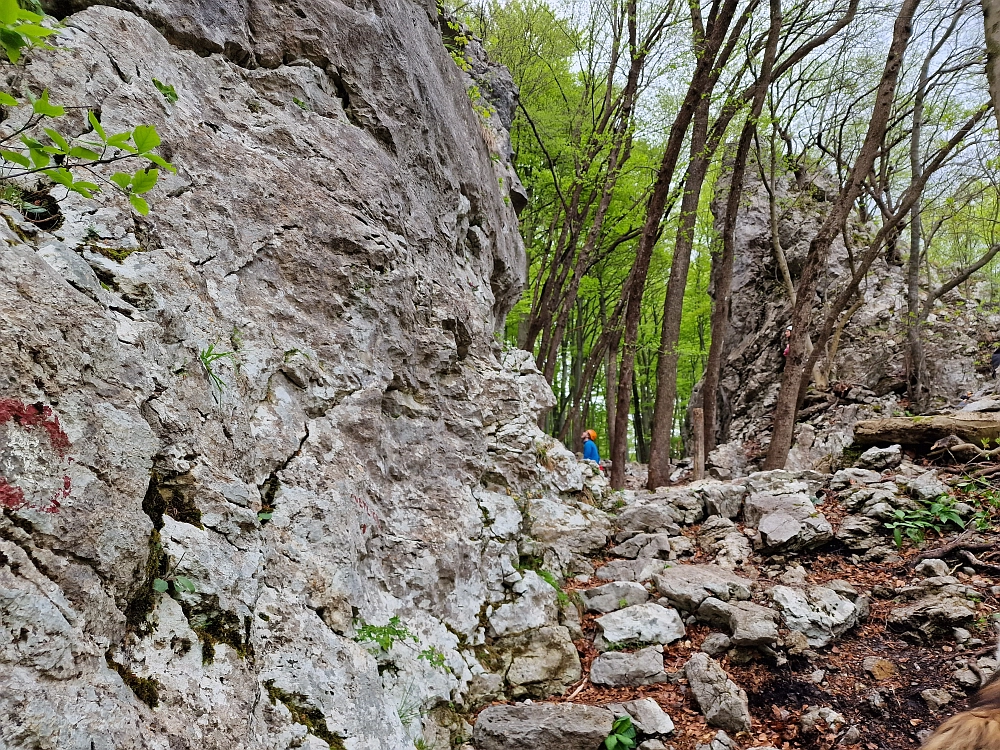 Slika je vidna v Google Chromu.