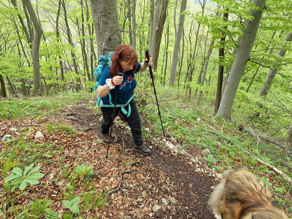 Slika je vidna v Google Chromu.