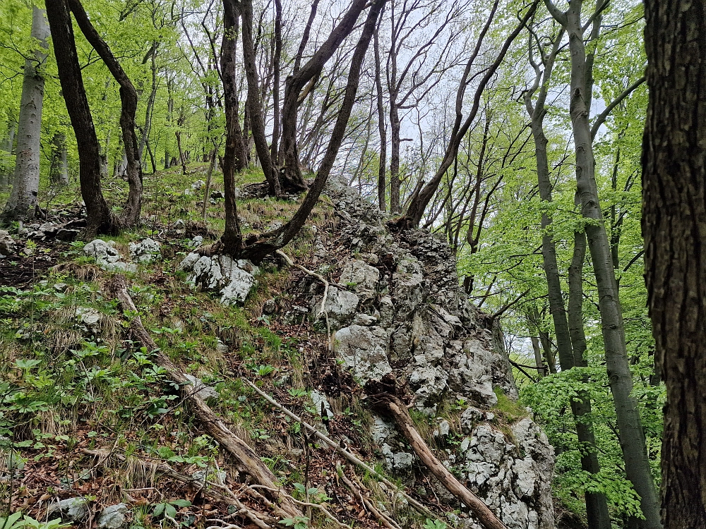 Slika je vidna v Google Chromu.