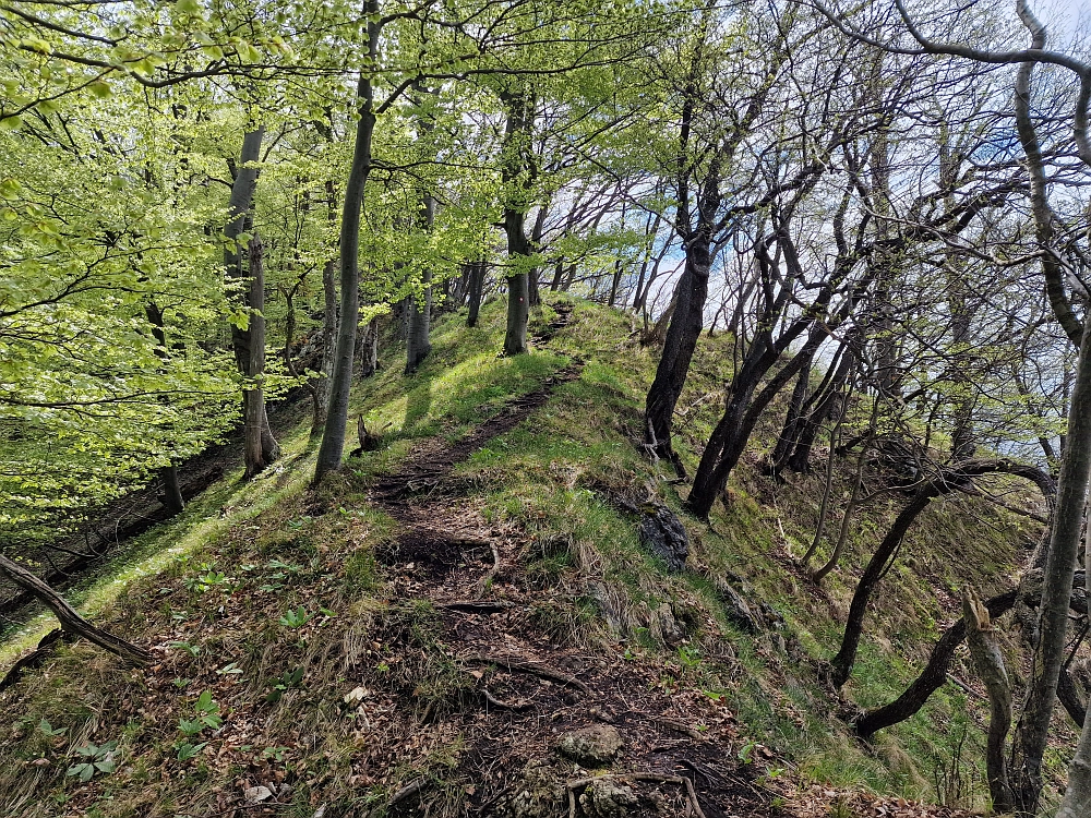 Slika je vidna v Google Chromu.