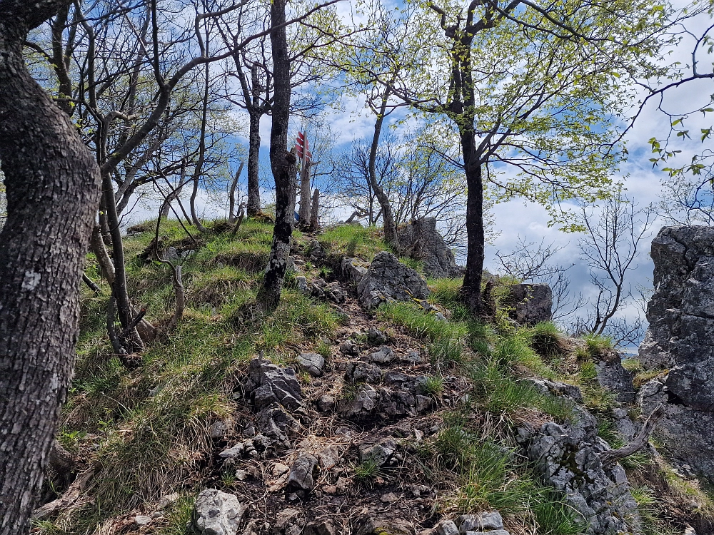 Slika je vidna v Google Chromu.