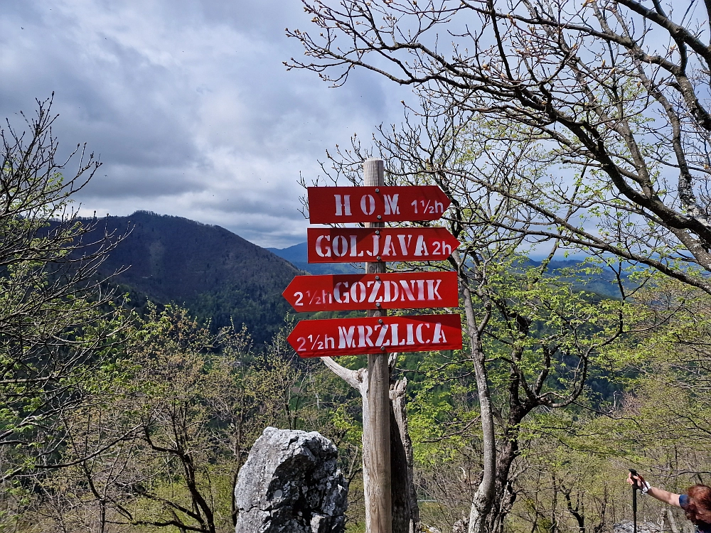 Slika je vidna v Google Chromu.