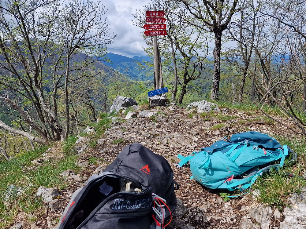 Slika je vidna v Google Chromu.