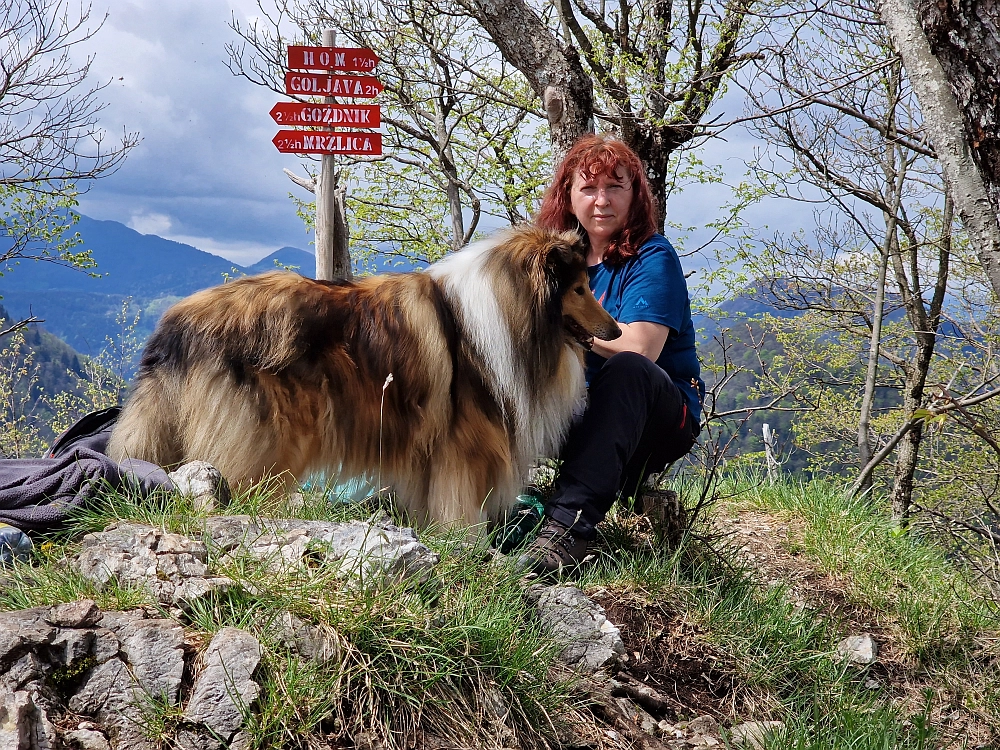 Slika je vidna v Google Chromu.