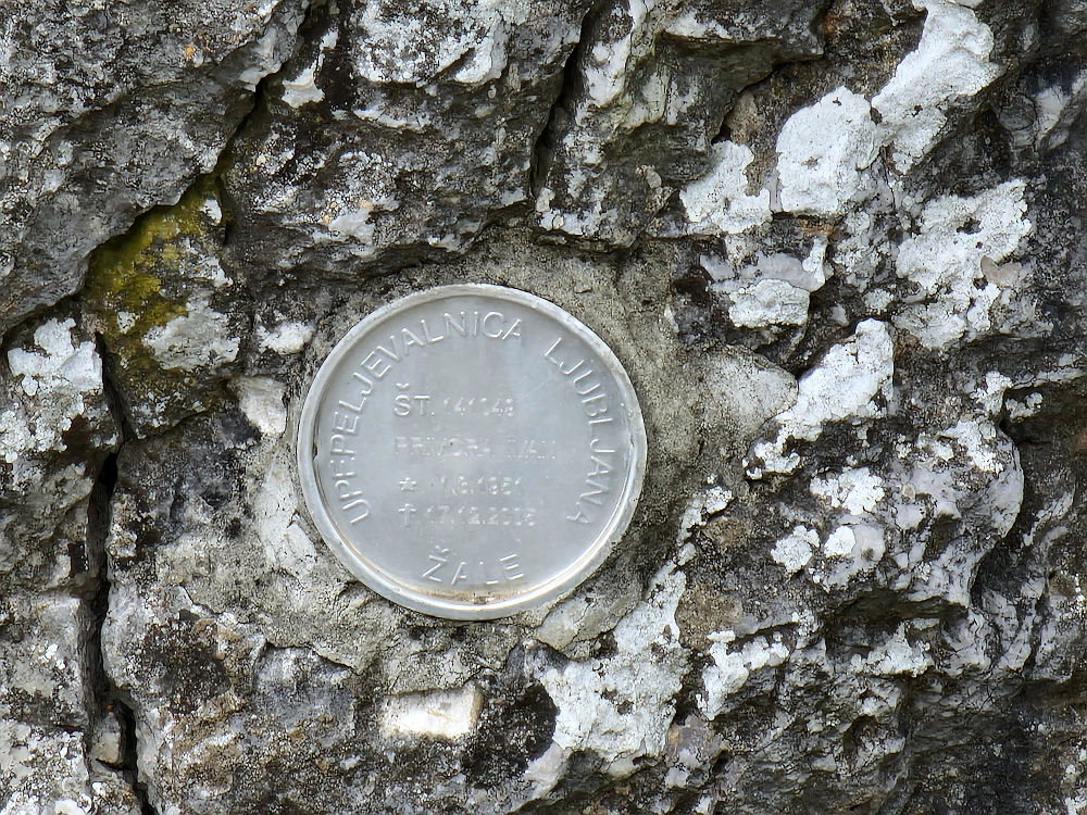 Slika je vidna v Google Chromu.