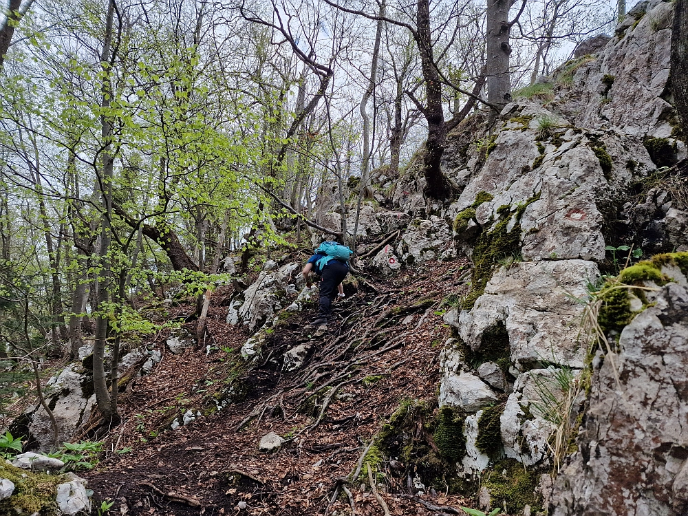 Slika je vidna v Google Chromu.