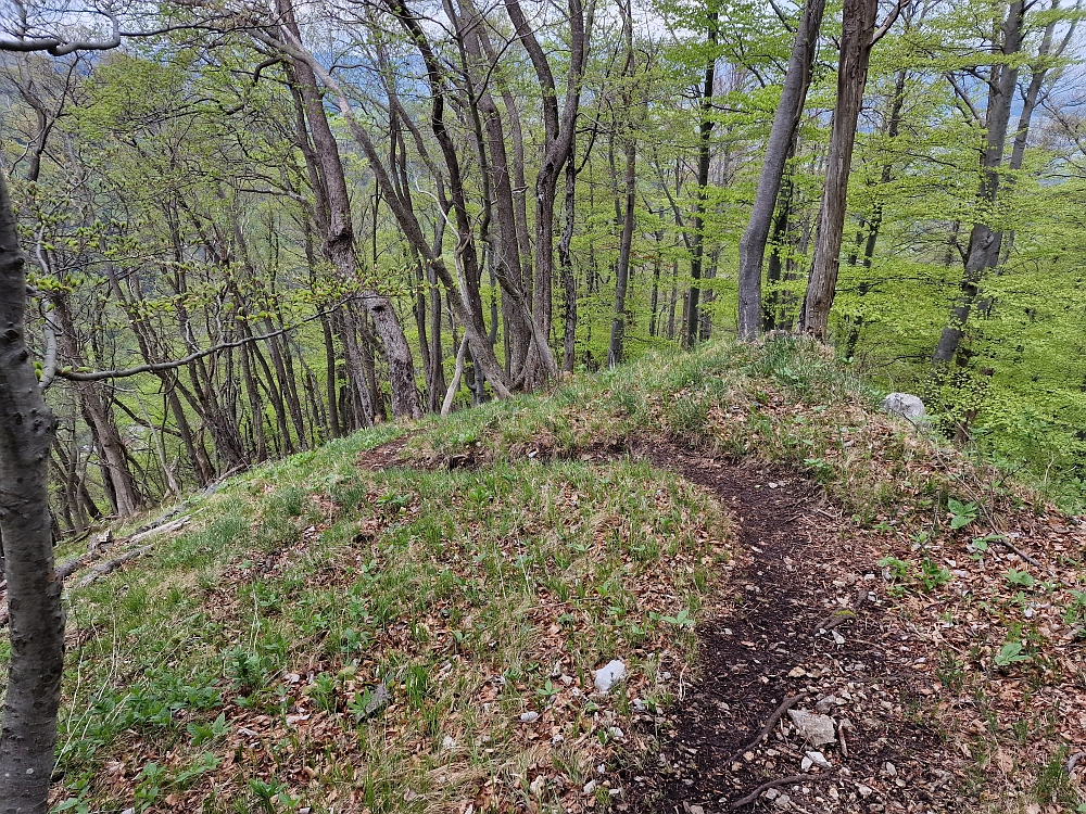 Slika je vidna v Google Chromu.