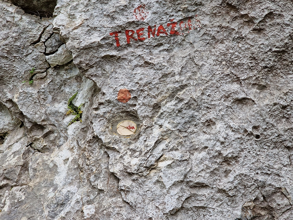 Slika je vidna v Google Chromu.