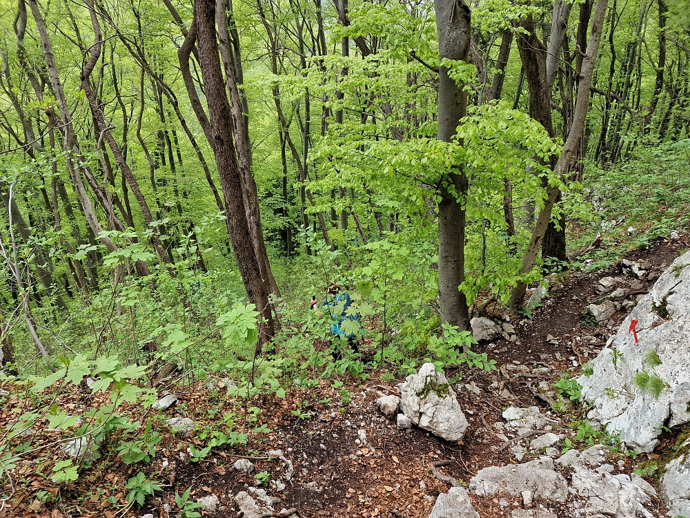 Slika je vidna v Google Chromu.