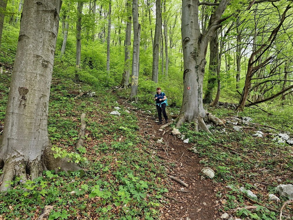Slika je vidna v Google Chromu.