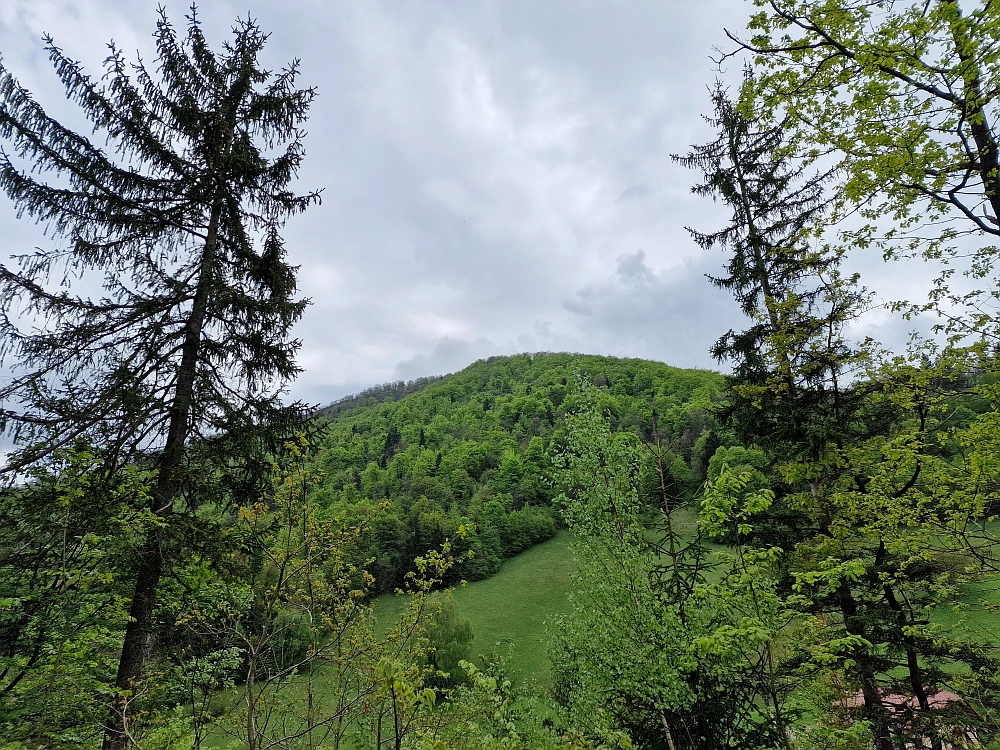 Slika je vidna v Google Chromu.