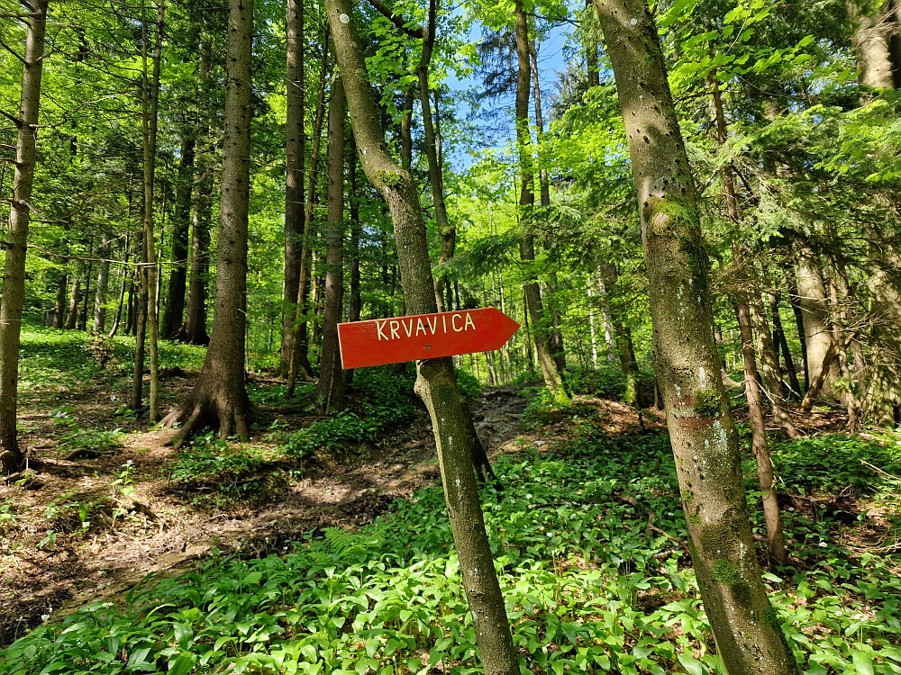 Slika je vidna v Google Chromu.