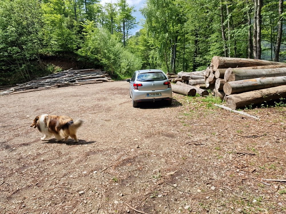 Slika je vidna v Google Chromu.