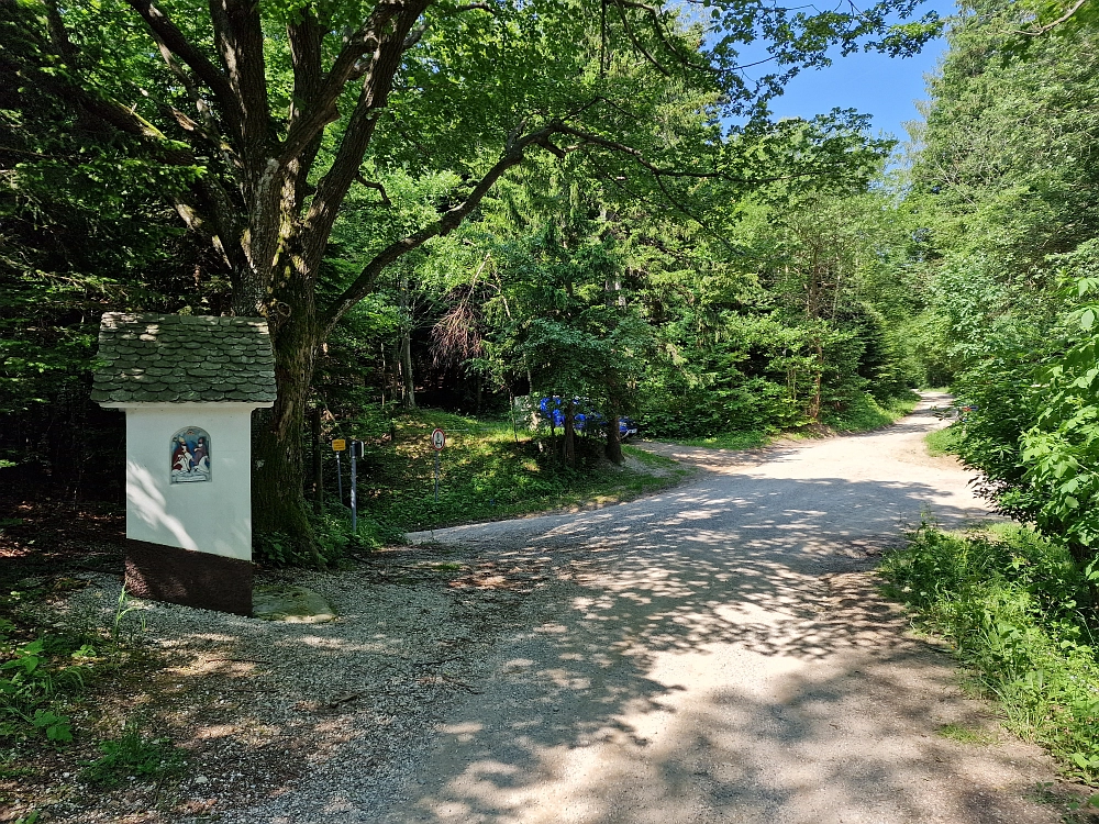 Slika je vidna v Google Chromu.