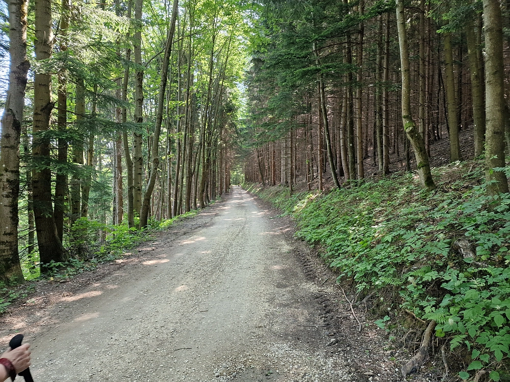 Slika je vidna v Google Chromu.