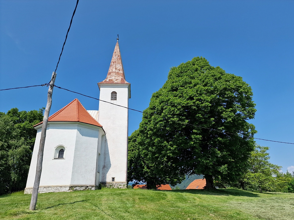 Slika je vidna v Google Chromu.