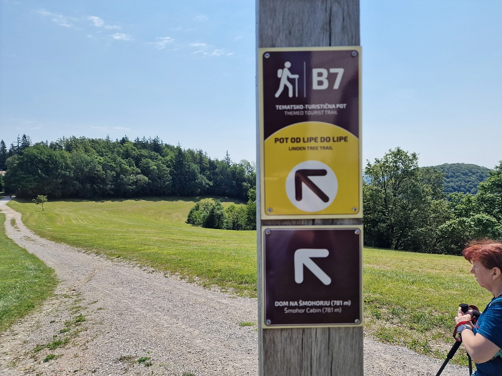 Slika je vidna v Google Chromu.