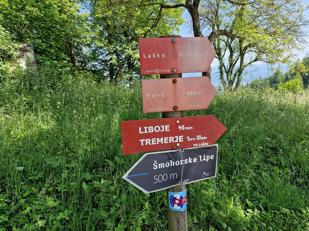 Slika je vidna v Google Chromu.