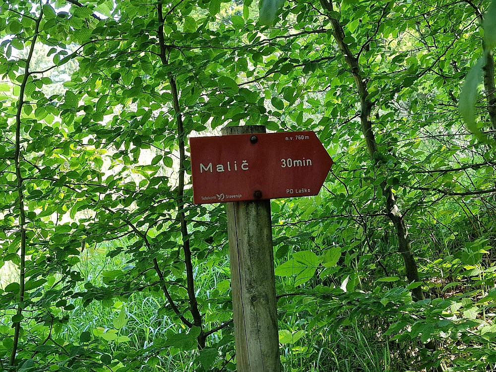 Slika je vidna v Google Chromu.