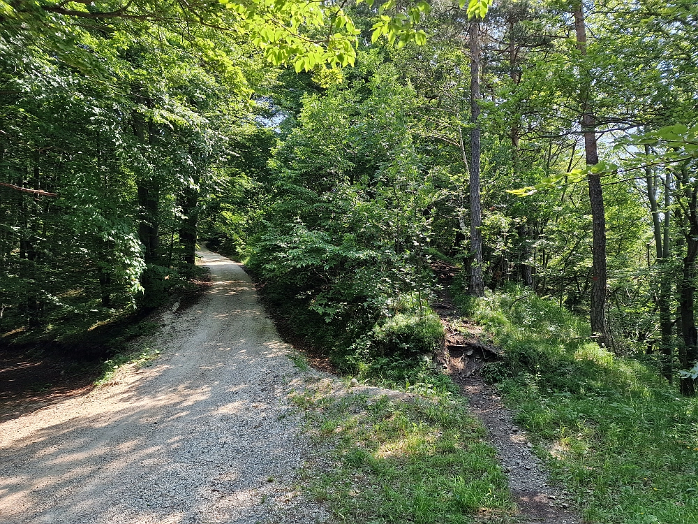 Slika je vidna v Google Chromu.