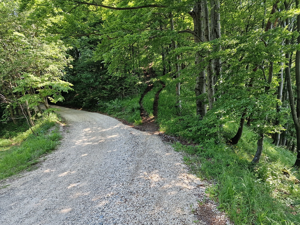 Slika je vidna v Google Chromu.